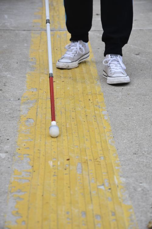 bela palica 3