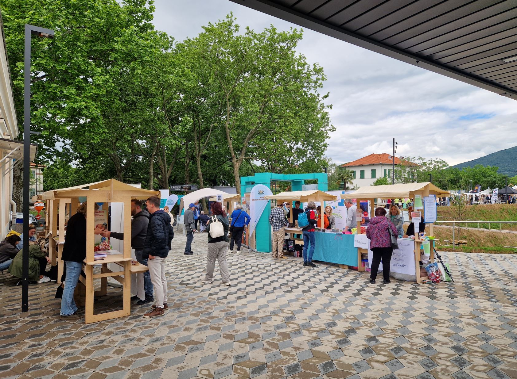 festival nvo