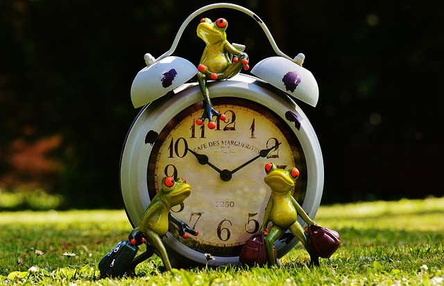 frogs g02c7c97cc 640