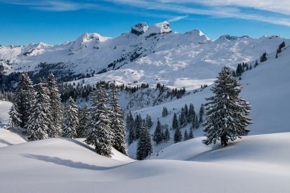 alpe